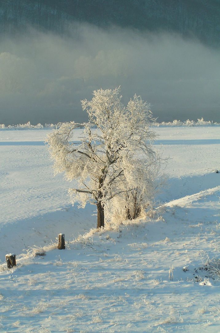 Eine Winterlandschaft im Elbtal