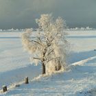 Eine Winterlandschaft im Elbtal