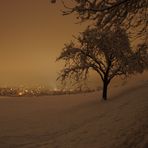 Eine Winternacht