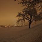 Eine Winternacht