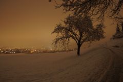 Eine Winternacht