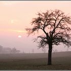 Eine Wintertagessonne geht....