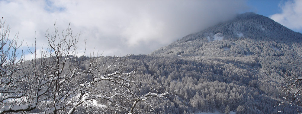 Eine Wintertagswahrheit