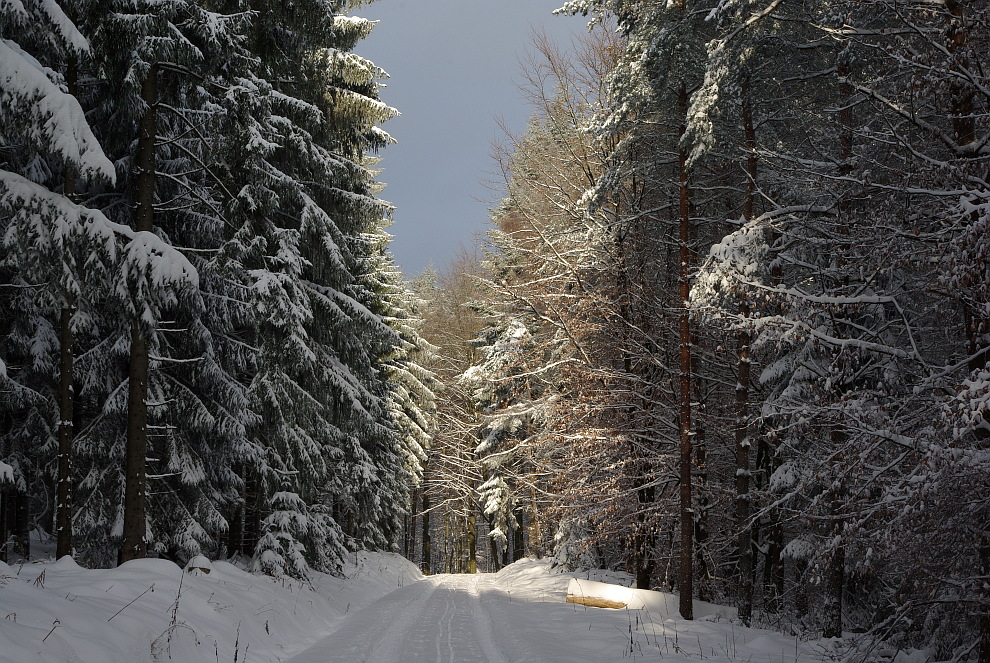 Eine Winterwanderung...