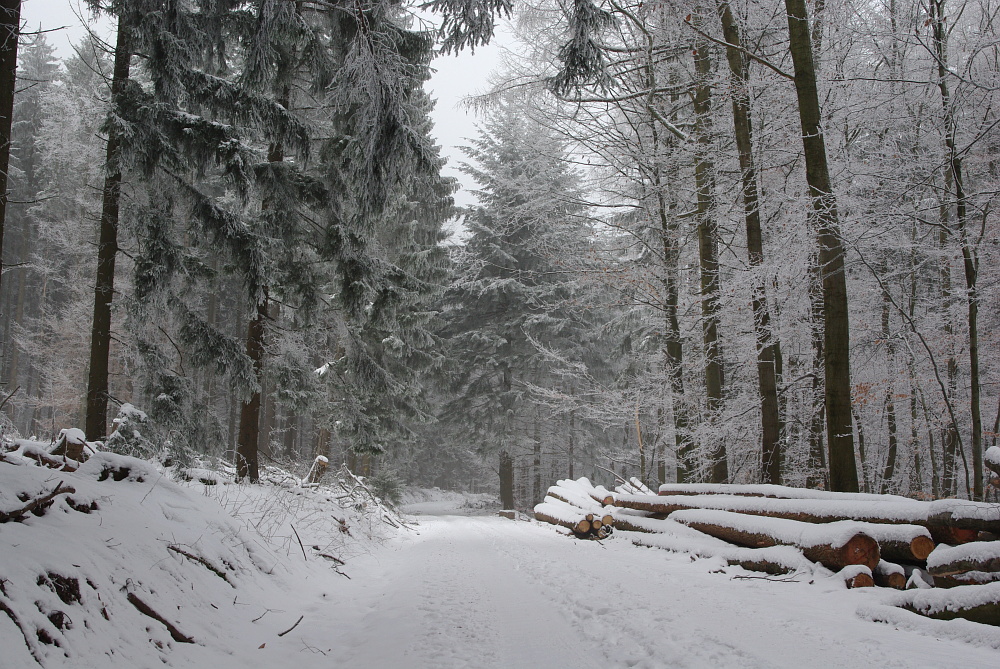 Eine Winterwanderung