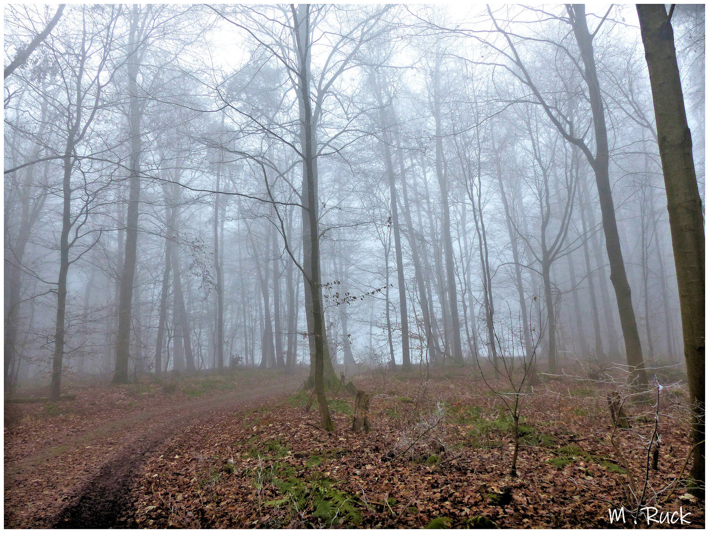 Eine Winterzeit , ohne Schnee 