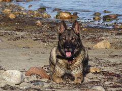 Eine Woche Ostsee - eine Woche nass