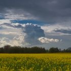 eine Wolke über den Feldern