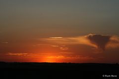 Eine Wolke, wie ein "Vogel" am Himmel