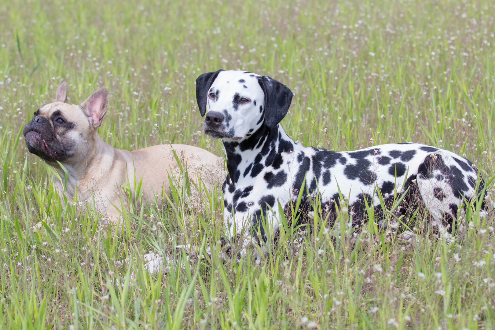 Eine wunderbare Freundschaft