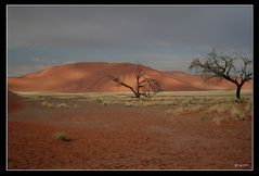 Eine wunderbare Landschaft in Namibia