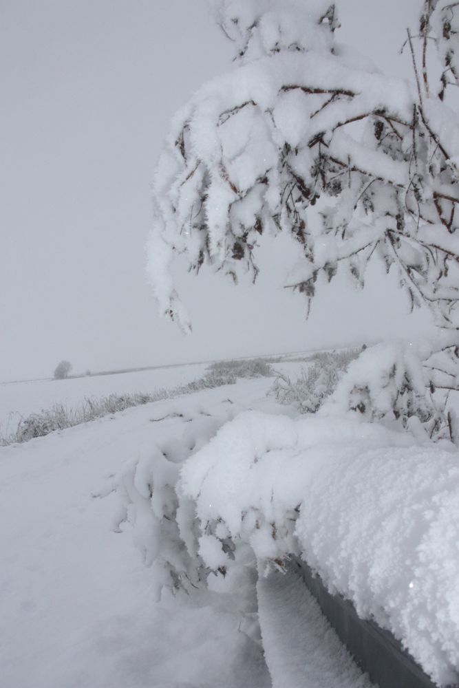 eine wunderschöne Schneelandschaft...