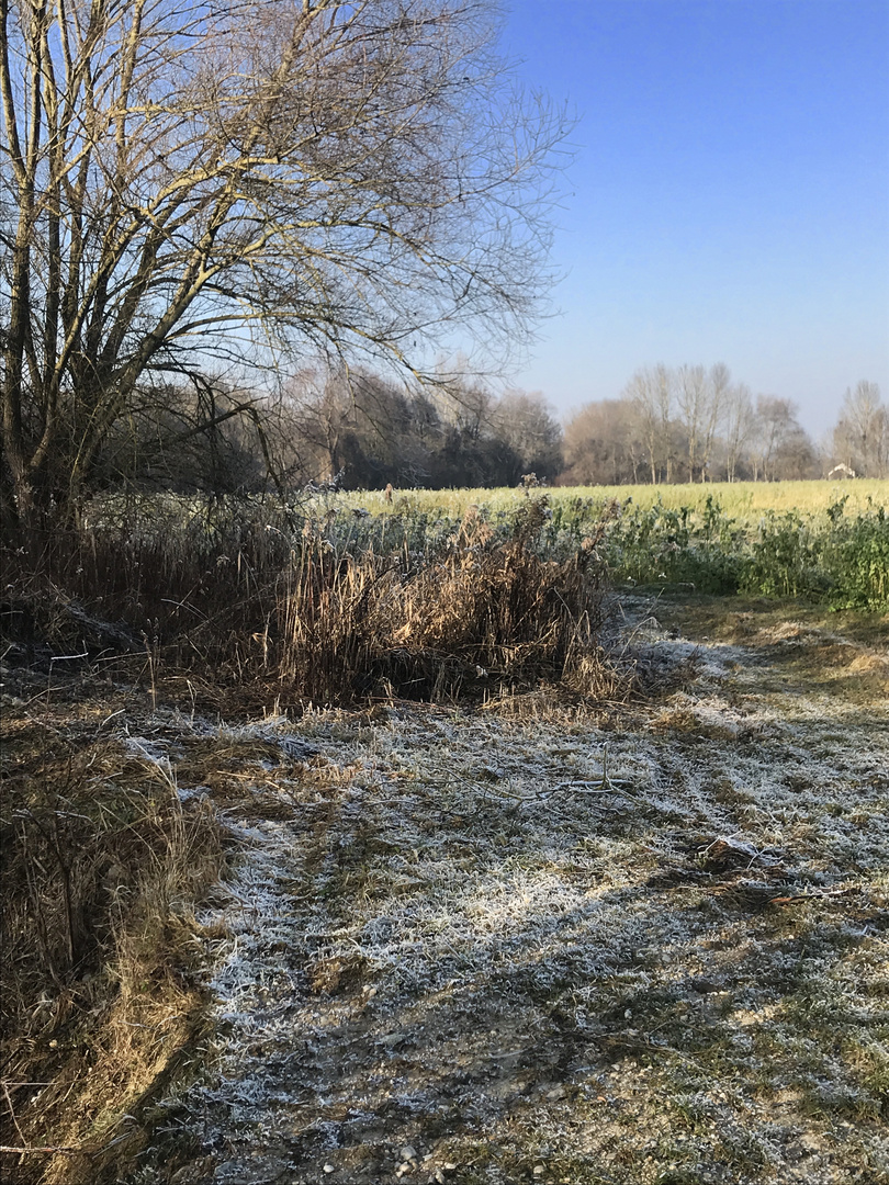 Eine zaghafte  Annäherung an den Winter 