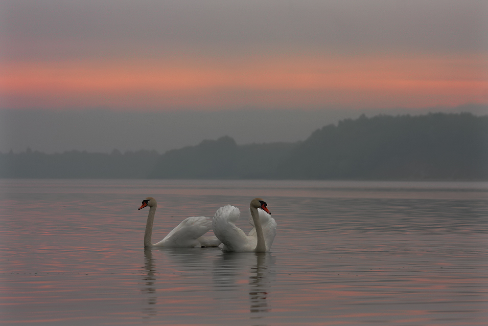 Eine zauberhafte Morgenstimmung .......