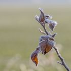 Eine Zauberhand