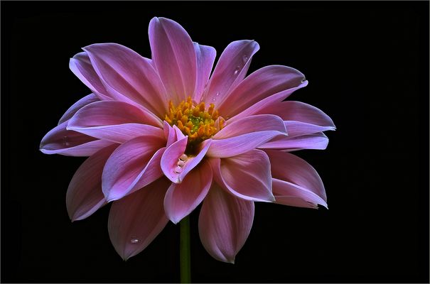 Eine Zeitenwende .. gibt es nicht nur in der hohen Politik - ( Stacking Bild )          