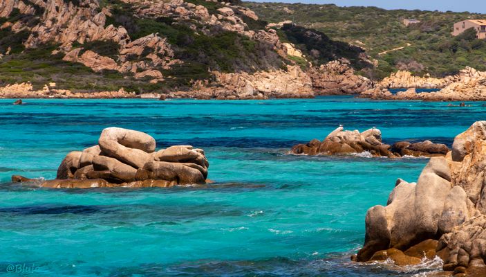 Eine zu Stein gewordene Wasserschlange ???