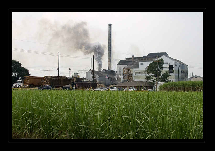 Eine Zuckerrohrfabrik ...