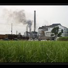 Eine Zuckerrohrfabrik ...