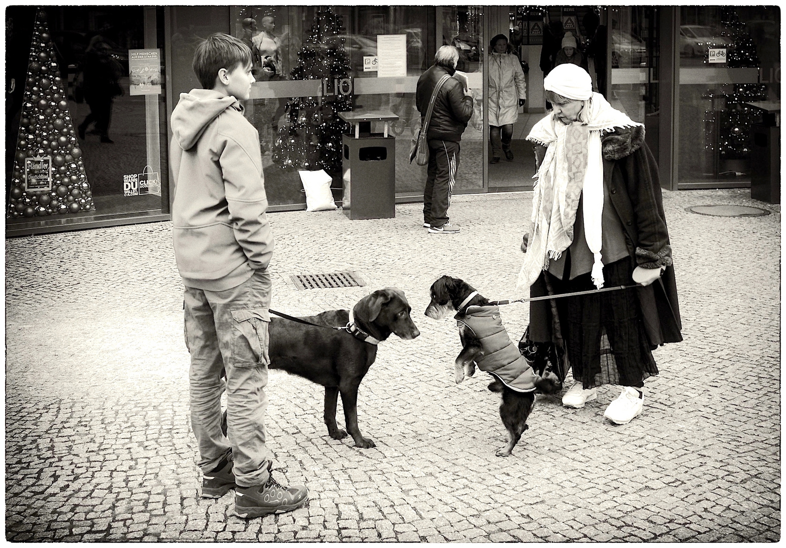 eine zufällige Hundebekanntschaft