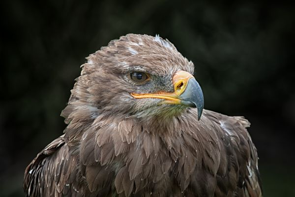 Eine Zumutung ist das