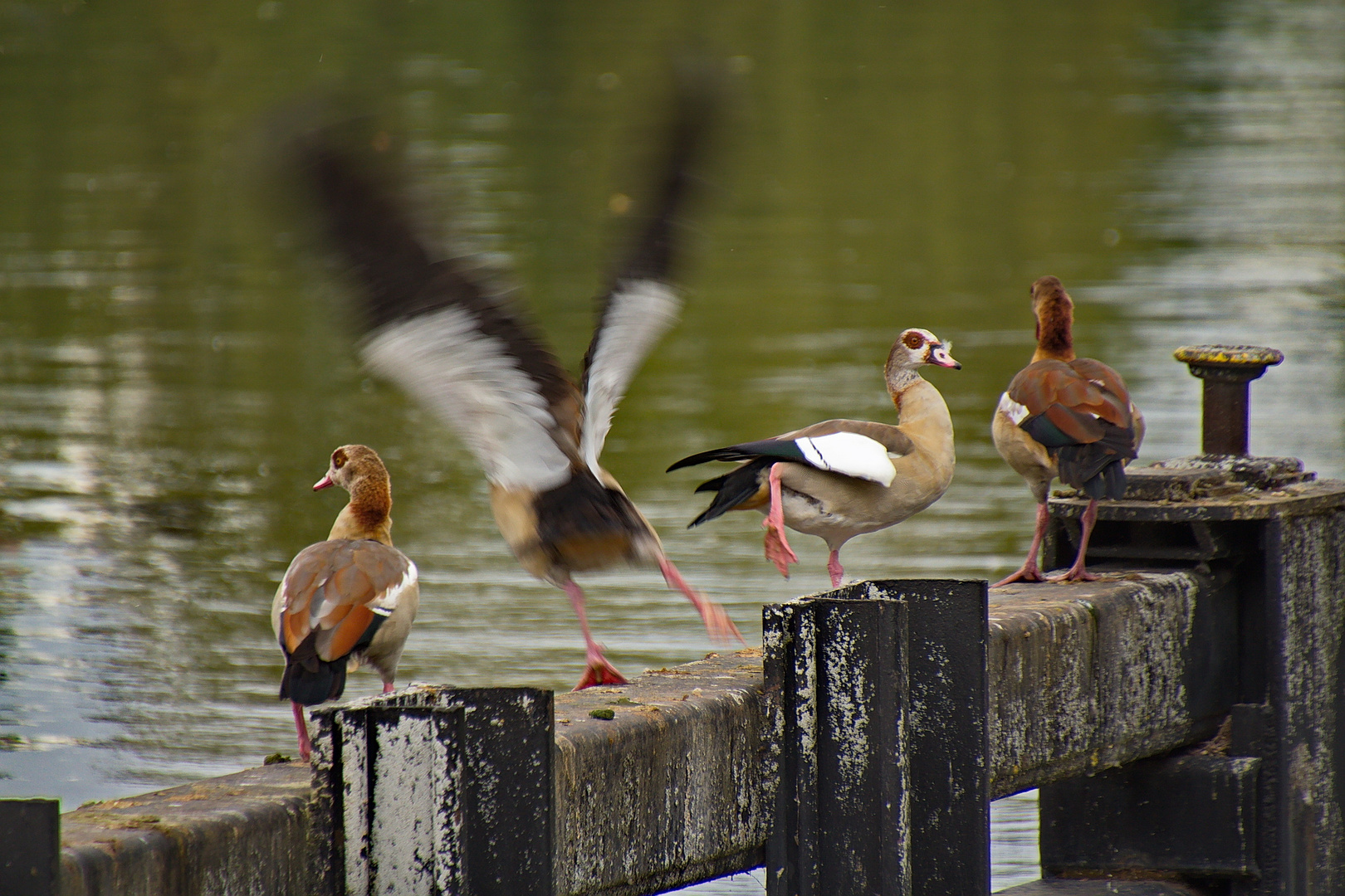 Einen Abflug....