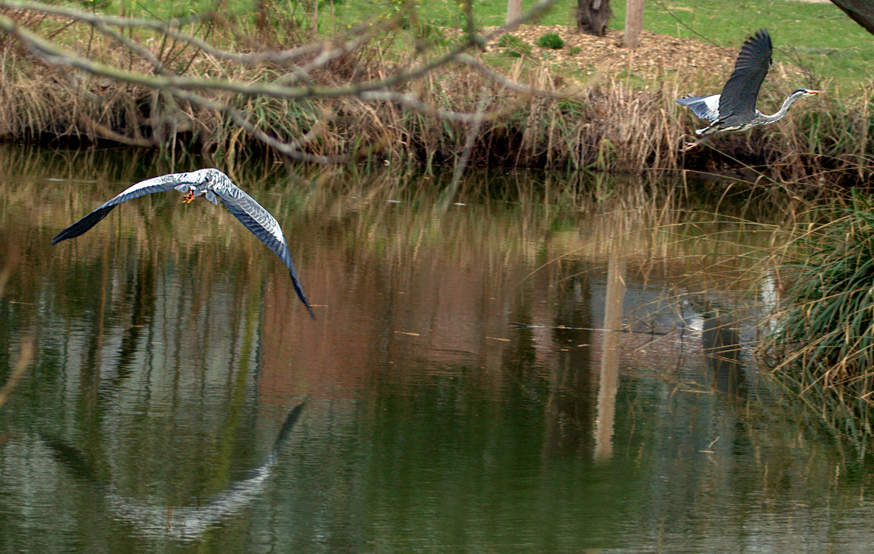 einen Abflug.....