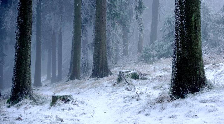 Einen Atemzug Winterluft....