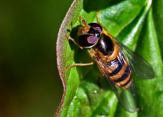 Einen Augenblick.........