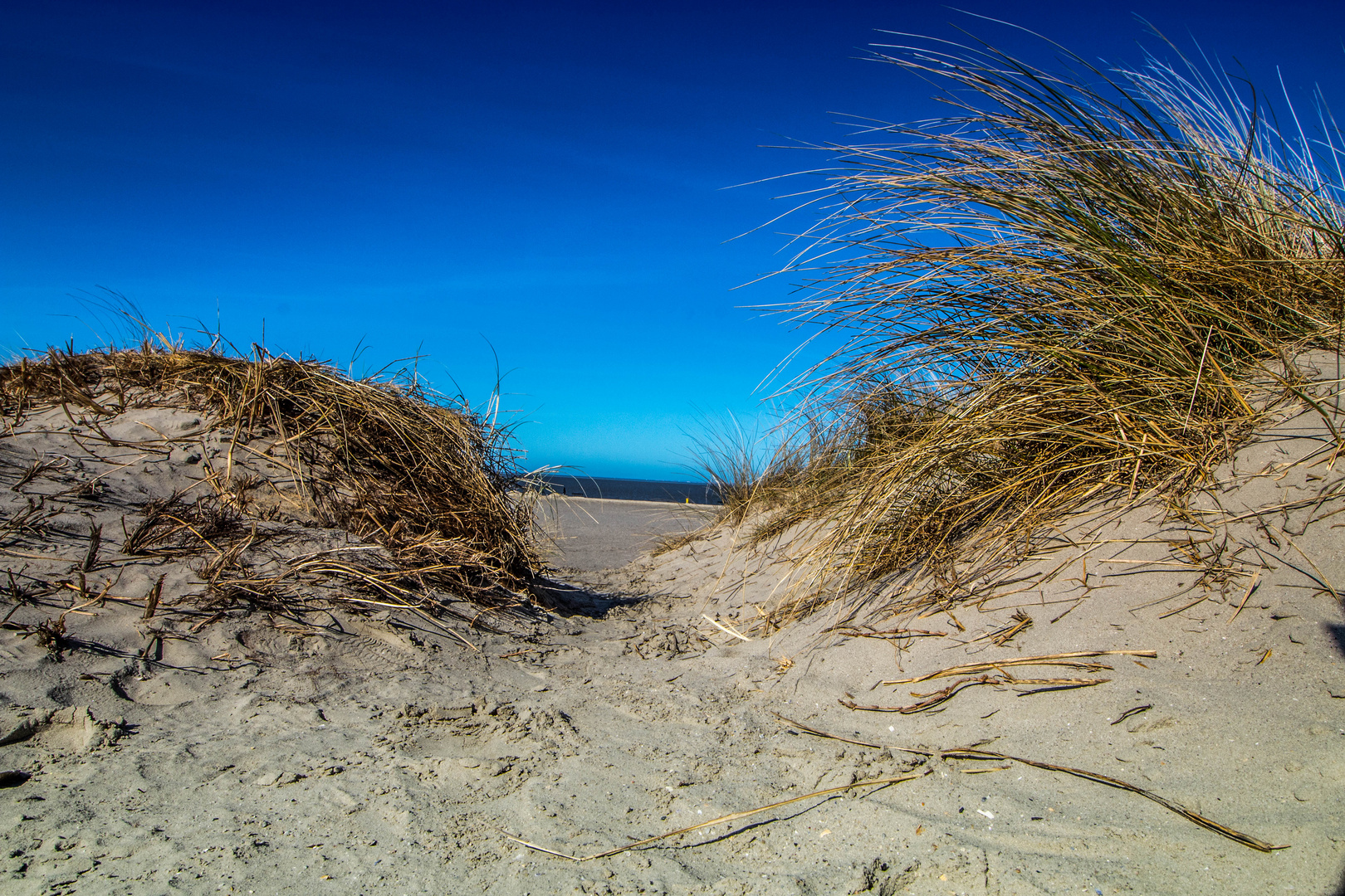 Einen Blick auf das Meer erhaschen.