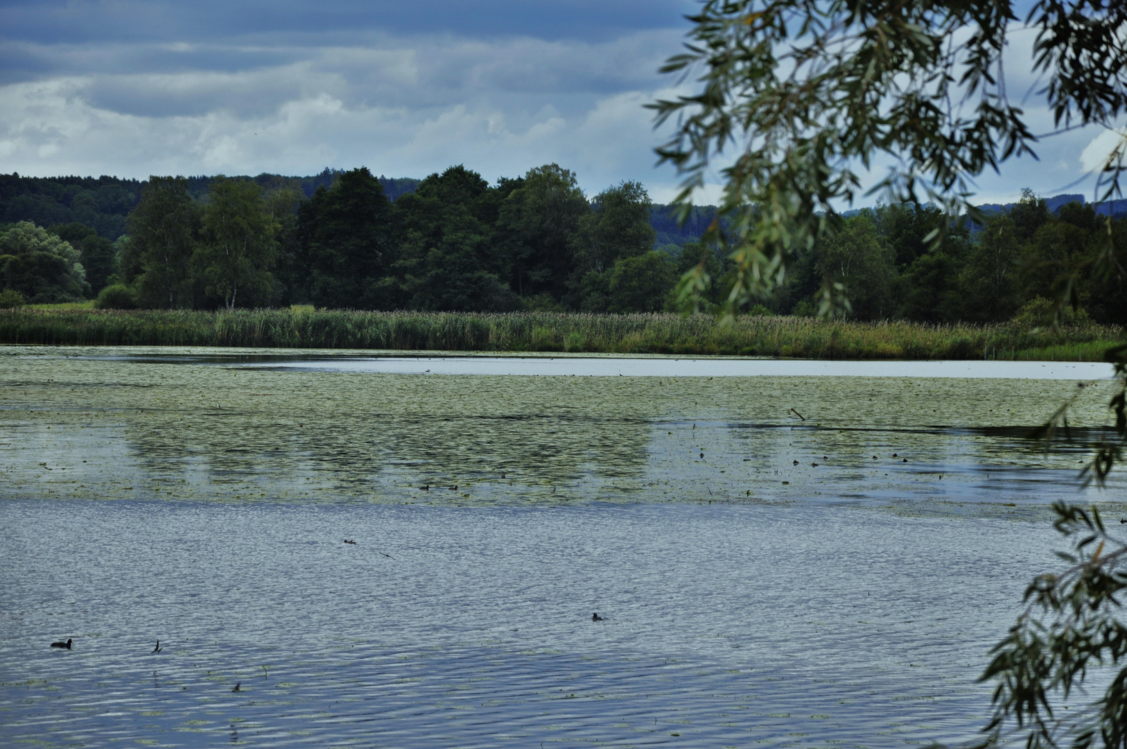 Einen Blick auf das Vogelschutzgebiet und den See