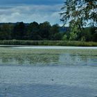 Einen Blick auf das Vogelschutzgebiet und den See