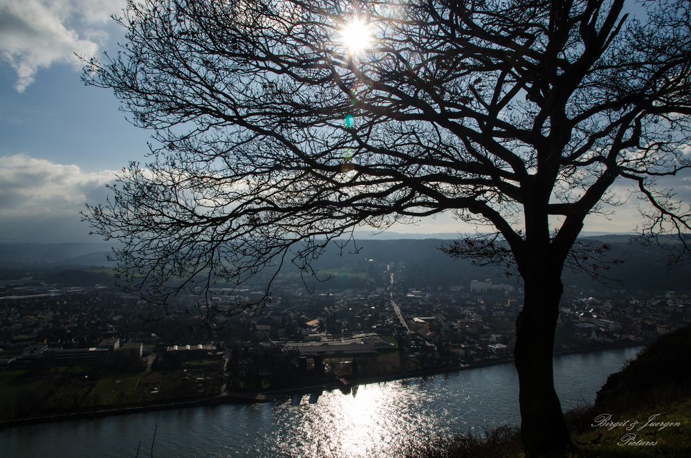 Einen Blick auf den Vater Rhein