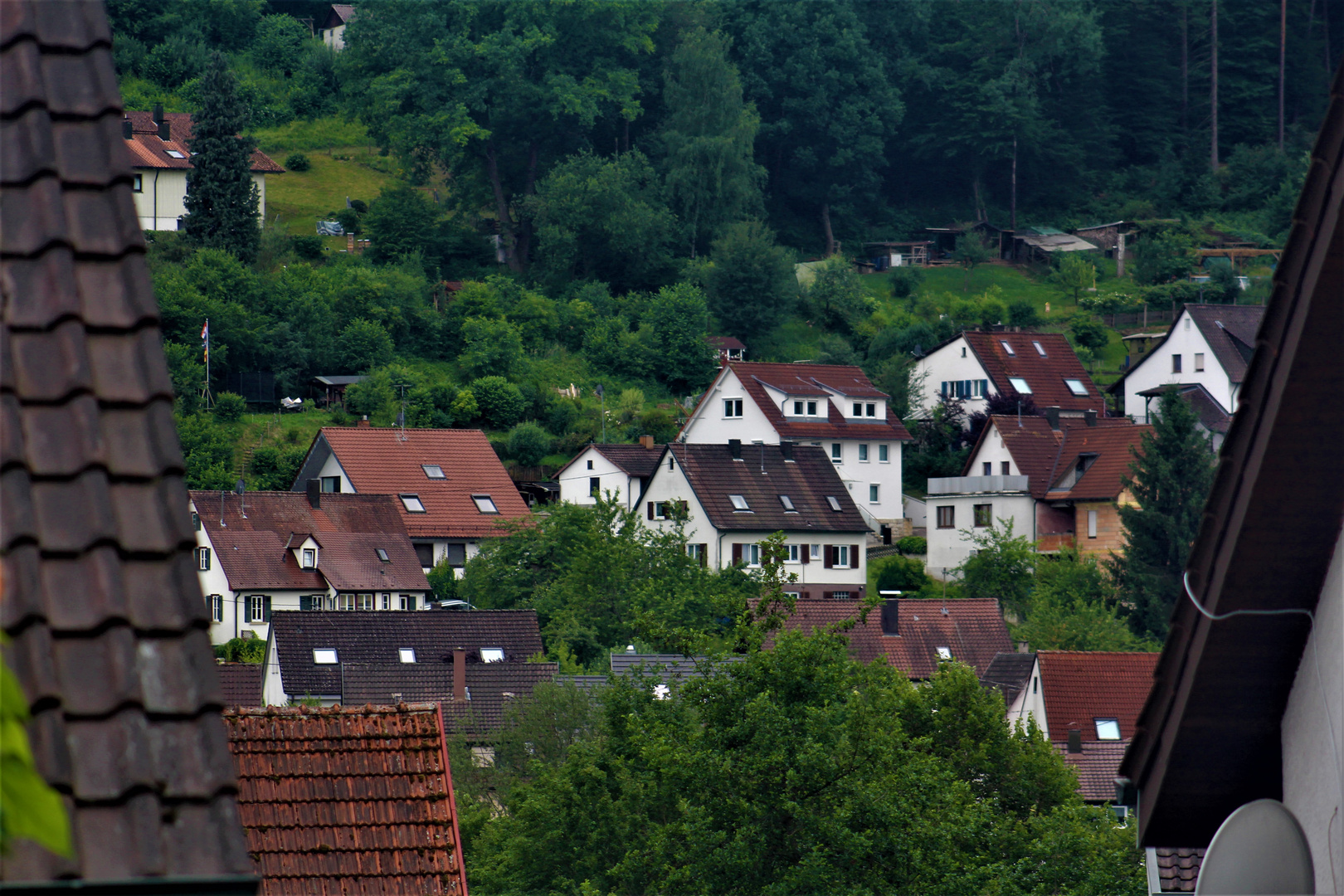 einen Blick auf ländliche Gefielde