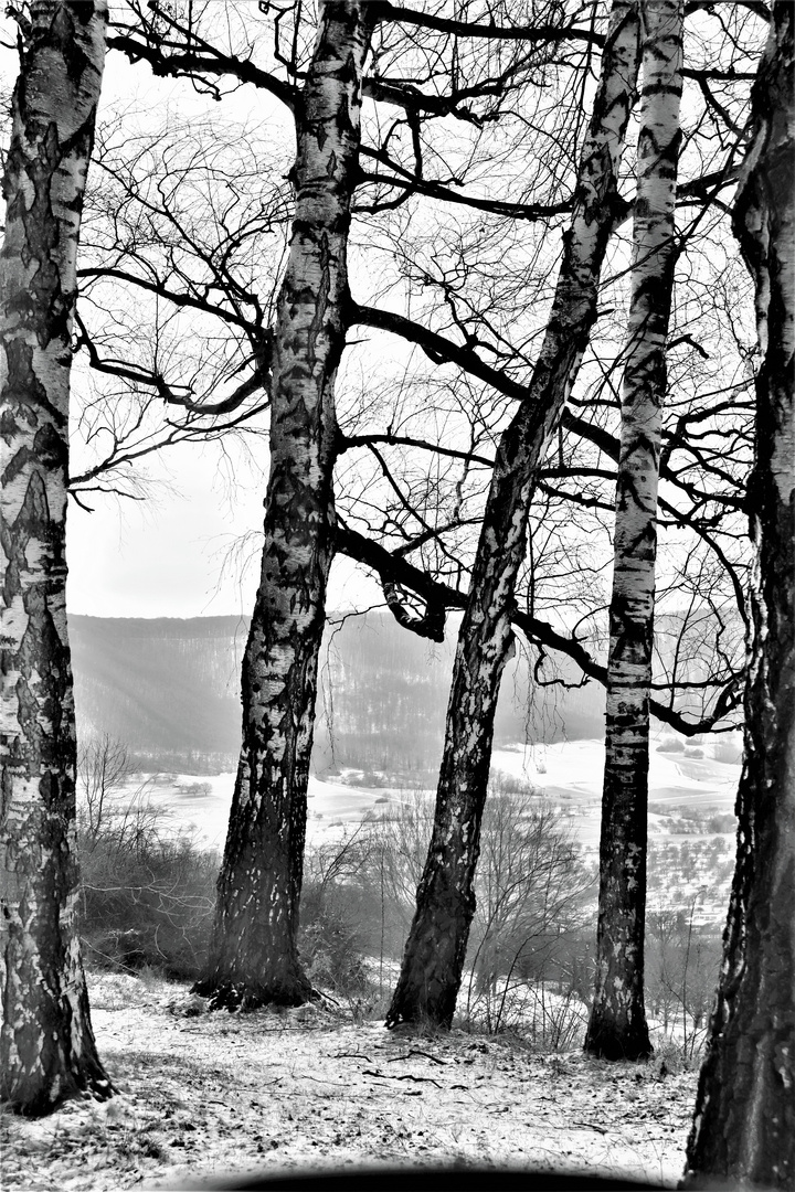 einen Blick auf s Land werfen