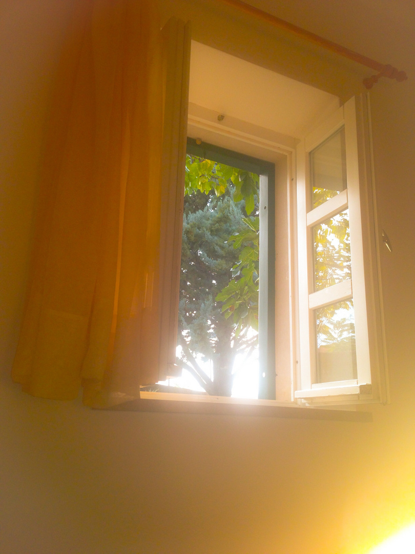 ....Einen Blick aus meinem Fenster am frühen Morgen ,