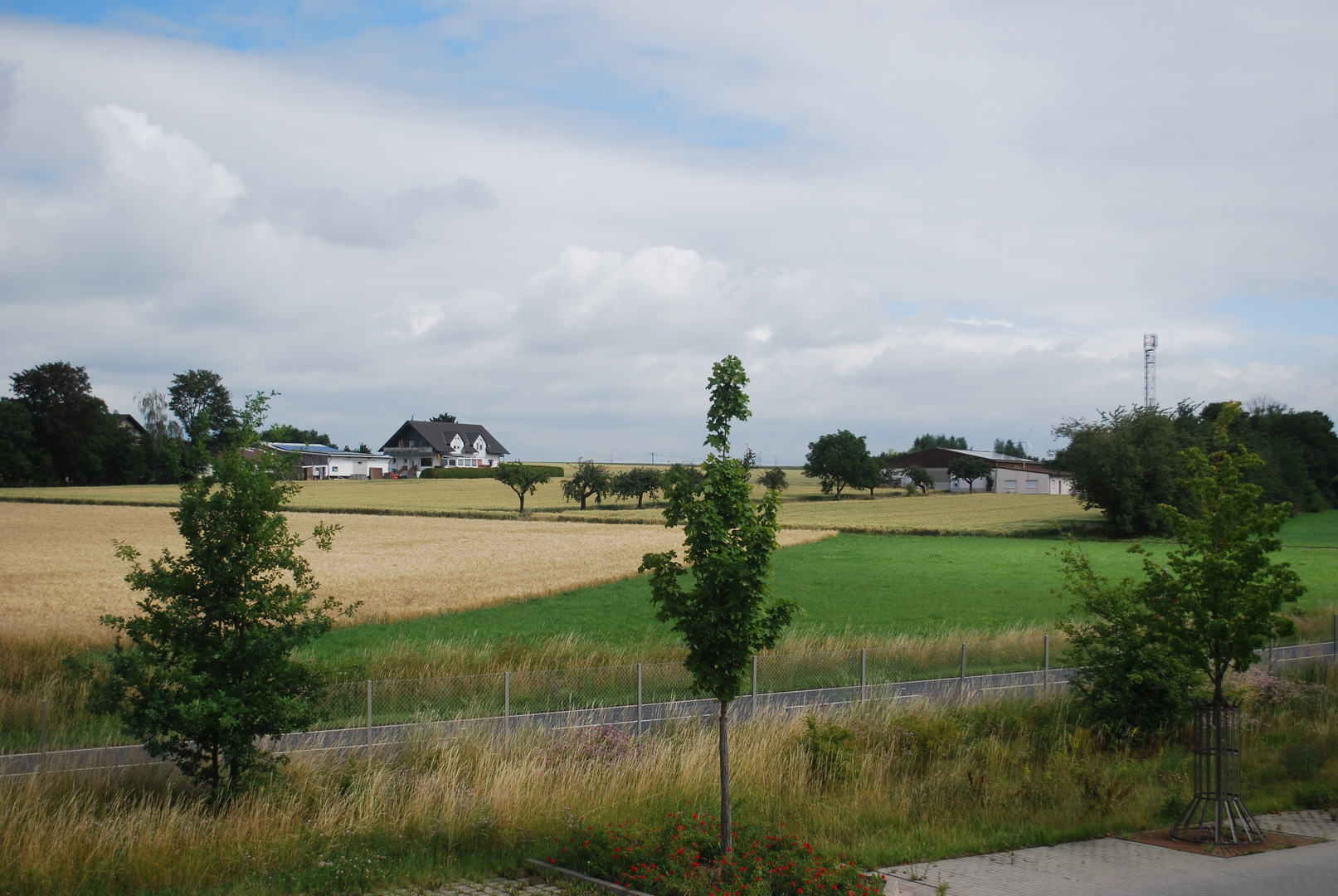 Einen Blick aus meinem Zimmer.