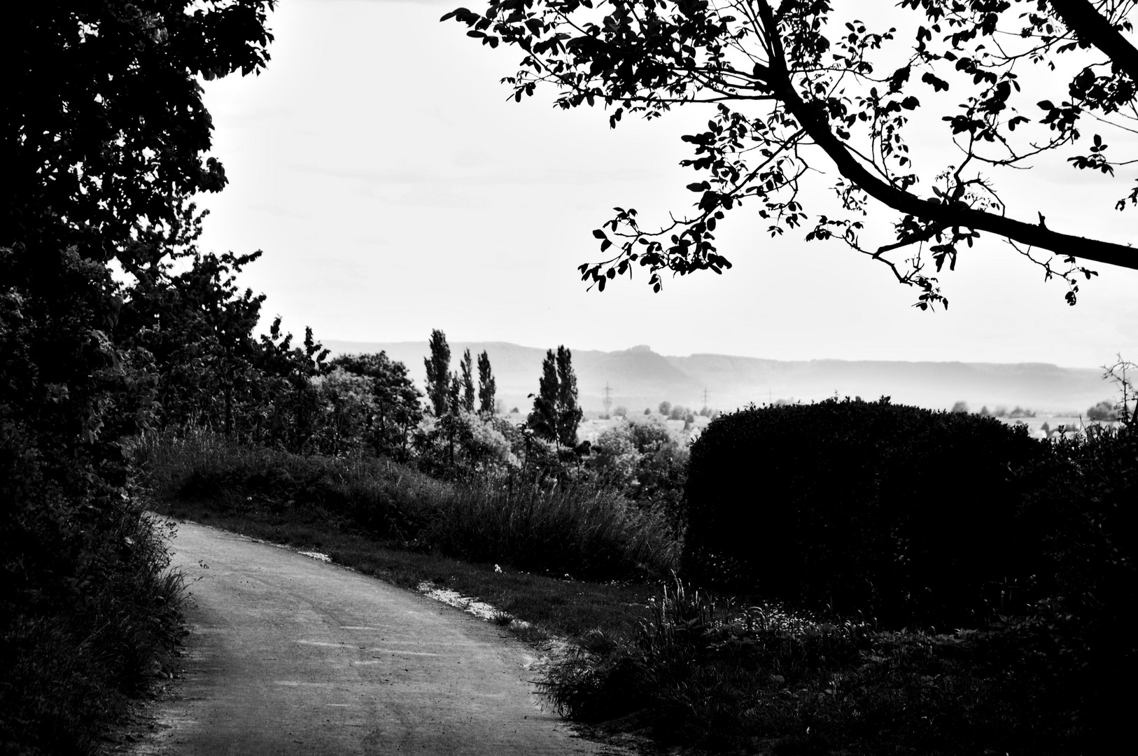 einen  Blick in die schwäbische Toscana werfen ...oberhalb von Esslingen schmunzel