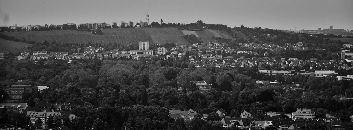 einen  Blick in s Tal und auf die gegenüber liegenden Weinberge