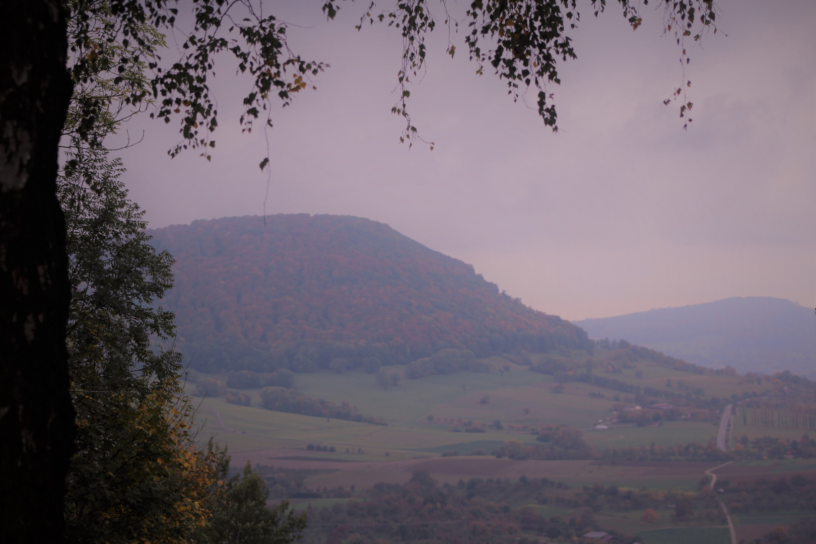 einen Blick ins Land werfen 