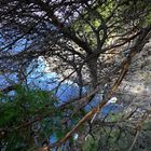 Einen Blick riskiert...... Puerto Soller/Mallorca