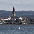 einen Blick über den See werfen 