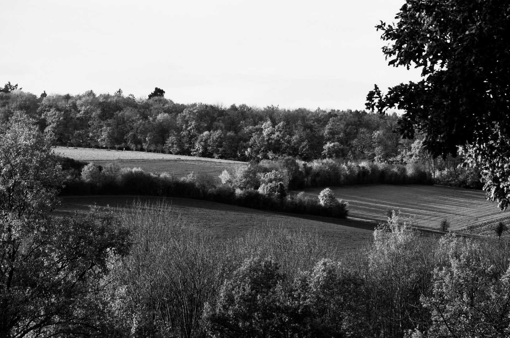 Einen Blick übers Land