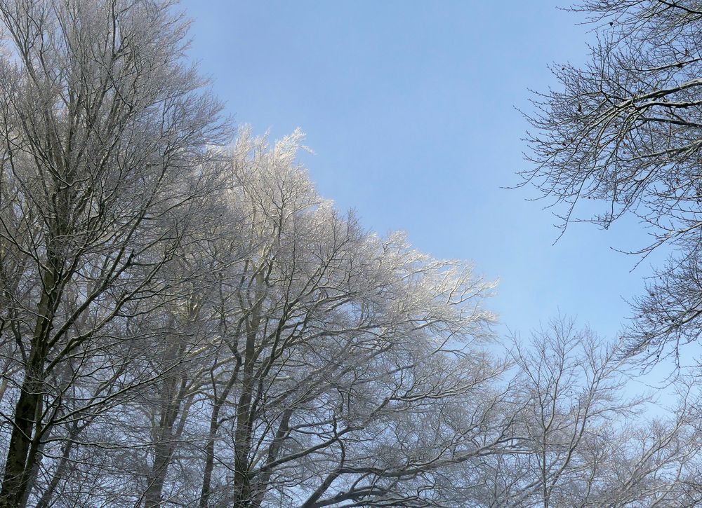 Einen Durchblick zum Blauen Himmel