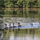 einen Familienausflug....