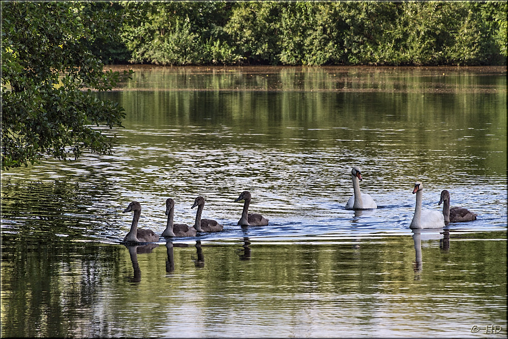 einen Familienausflug....