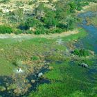 Einen Flug übers Okavango Delta...