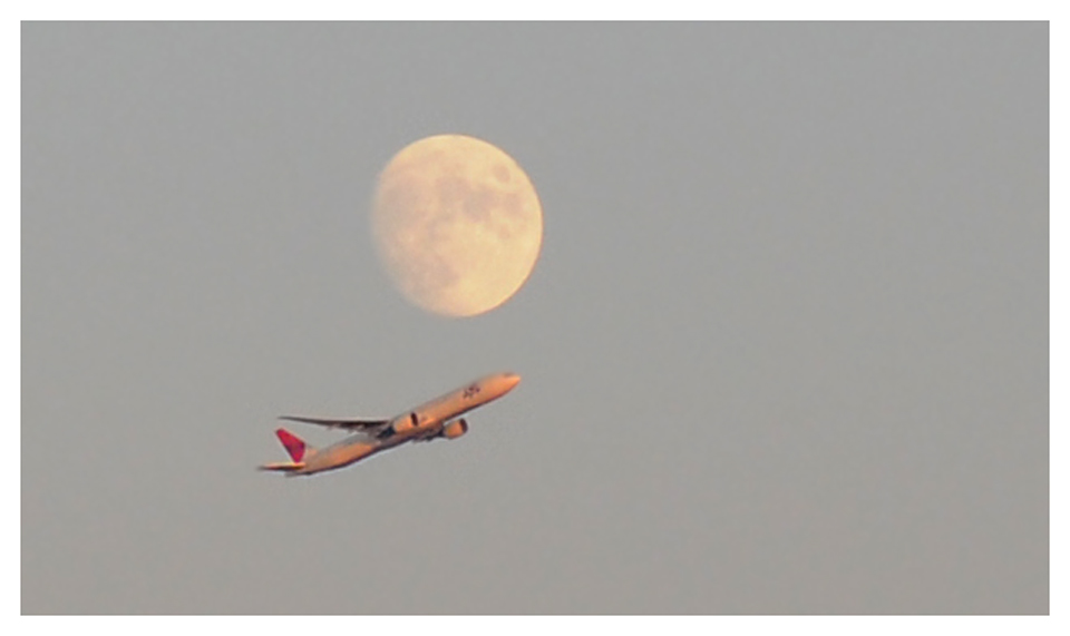 Einen Flug zum Mond...