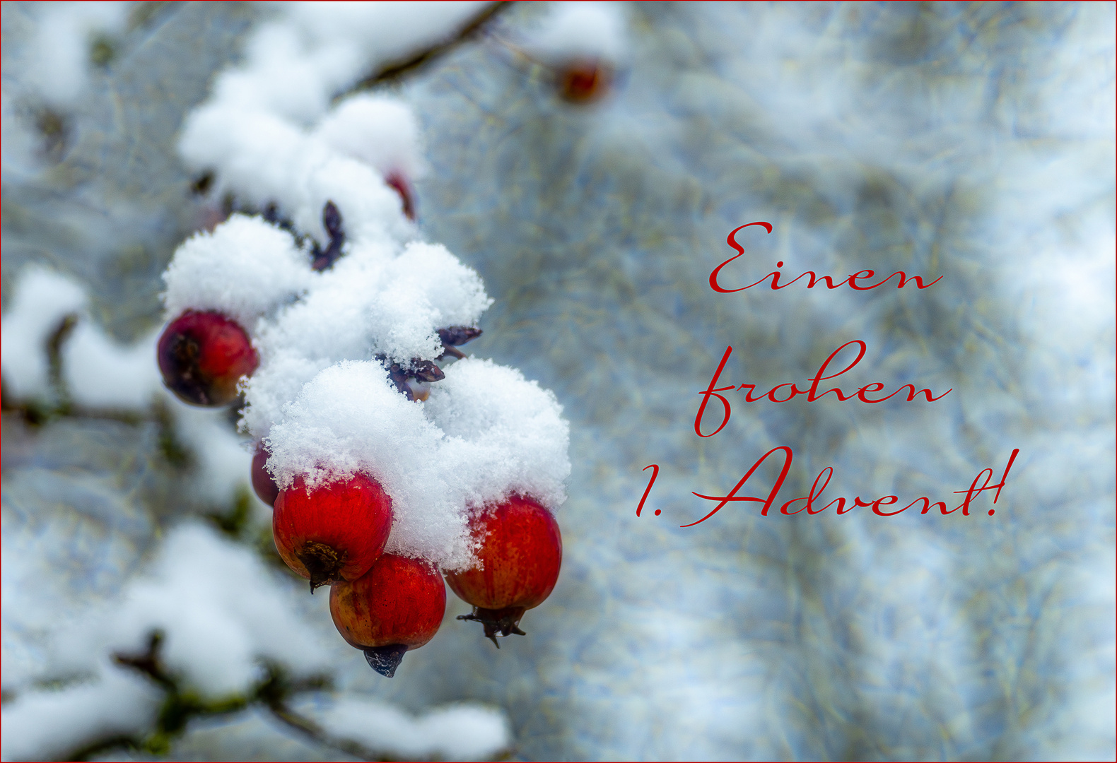 Einen frohen 1. Advent!