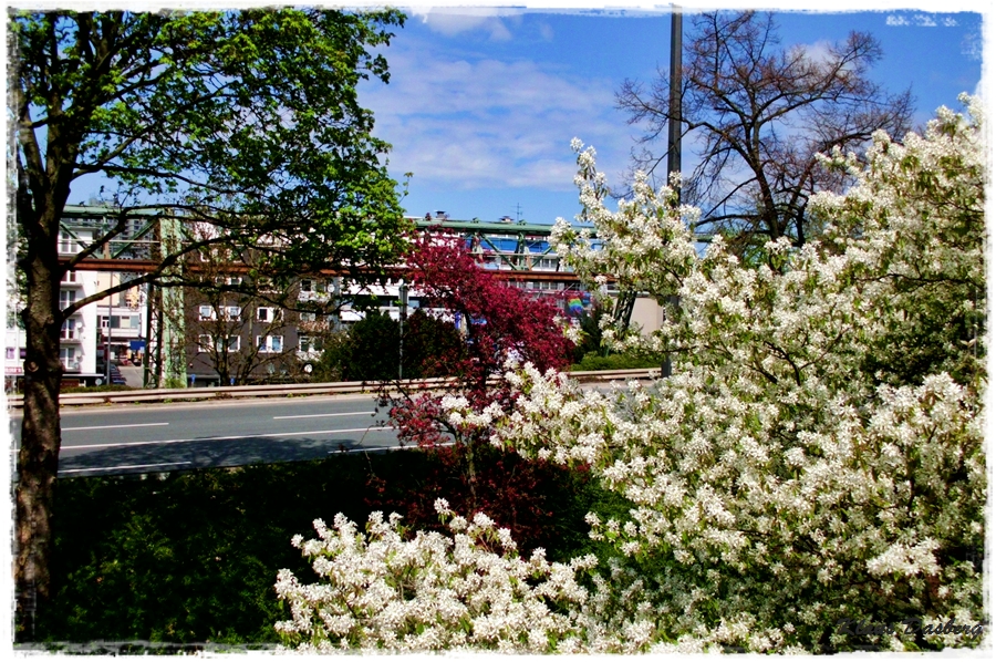 Einen Frühlingsgruss Springtime